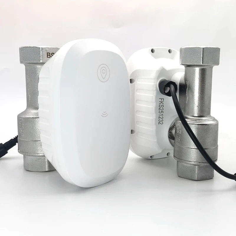 Home Assistant Tuya - Waterklep WiFi Smart Control Waterstroomverbruiksmeter Automatische